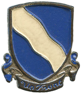 405th Regiment DUI