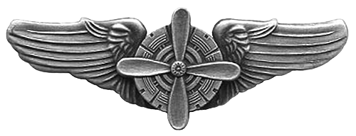 A ww2 American pilot badge
