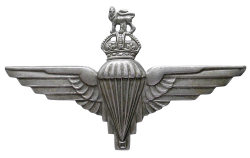 1st Airborne Division cap badge