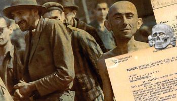 Buchenwald
