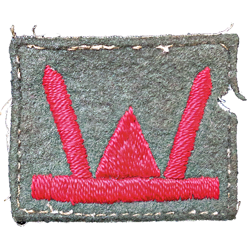 53rd Welsh Infantry Division patch to which the 1st Battalion Oxfordshire and Buckinghamshire Light Infantry was assigned during D-Day.