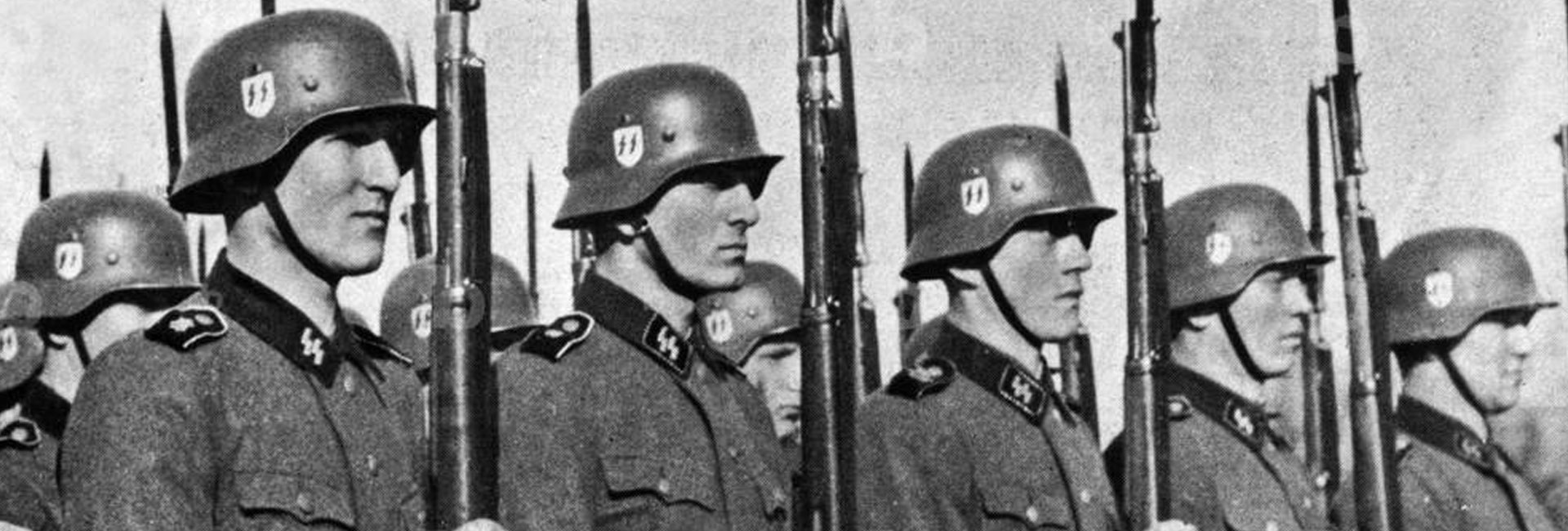 The rise of the Schutzstaffel (SS) was one of the most significant developments in the history of Nazi Germany.