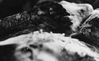 The atomic bombing of Hiroshima and Nagasaki